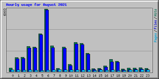 Hourly usage for August 2021
