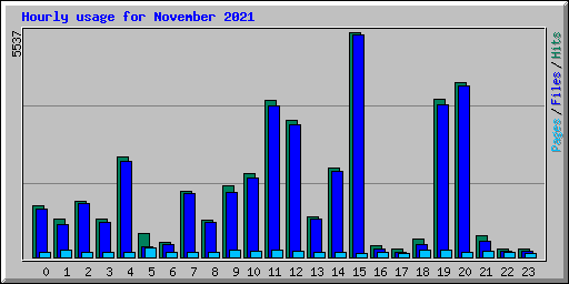 Hourly usage for November 2021