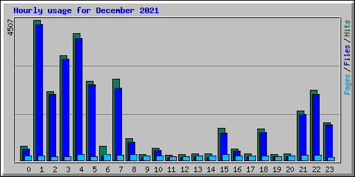 Hourly usage for December 2021