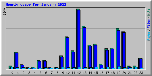 Hourly usage for January 2022