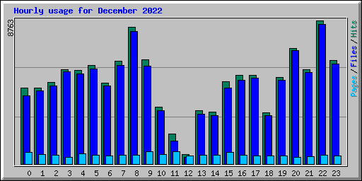 Hourly usage for December 2022