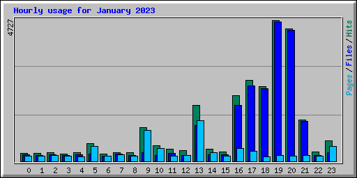 Hourly usage for January 2023