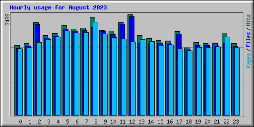 Hourly usage for August 2023