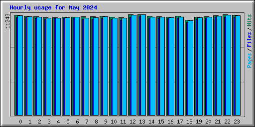 Hourly usage for May 2024