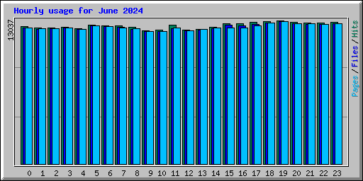 Hourly usage for June 2024