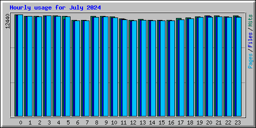 Hourly usage for July 2024