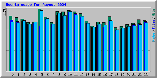 Hourly usage for August 2024